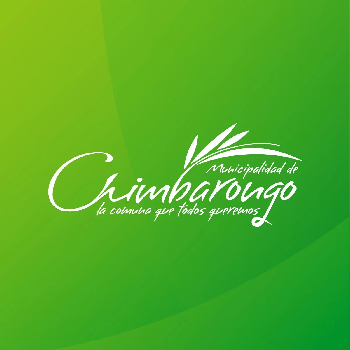 Municipalidad de Chimbarongo