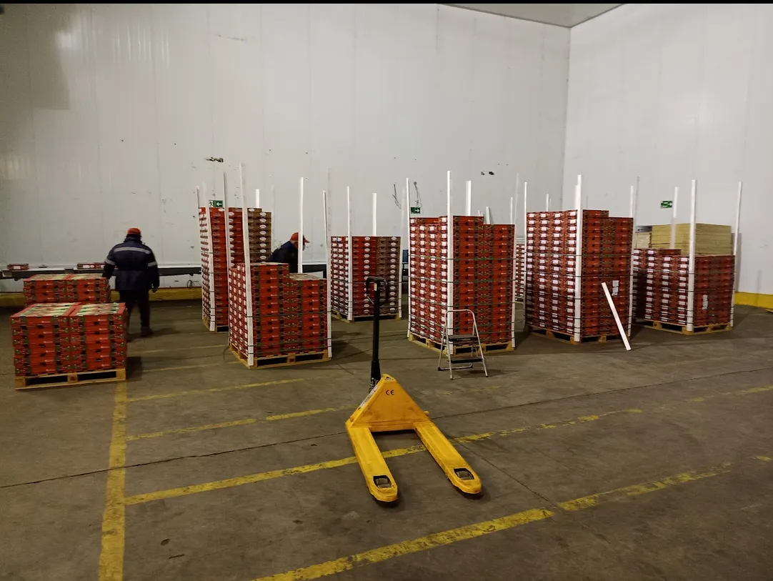 Sistema Automatizado de Etiquetado Industrial - Área de pallets y operación en planta