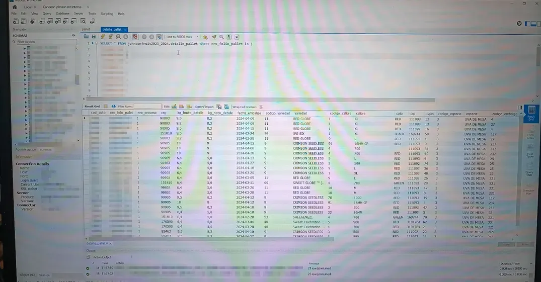 Trazabilidad Documental de Exportación - Consulta de datos de pallets y trazabilidad en base de datos