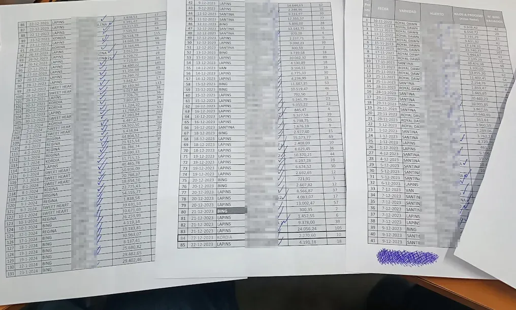 Trazabilidad Documental de Exportación - Registros impresos y validaciones manuales